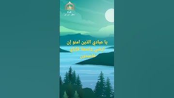 عبد الرحمن مسعد | تلاوه هادئة كسكون الليل