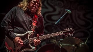 Gov't Mule - "Banks Of The Deep End" - Mountain Jam 2014 chords