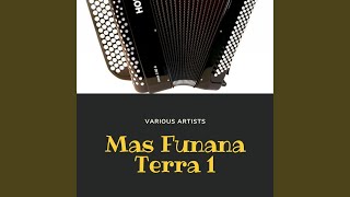 Yota Barela