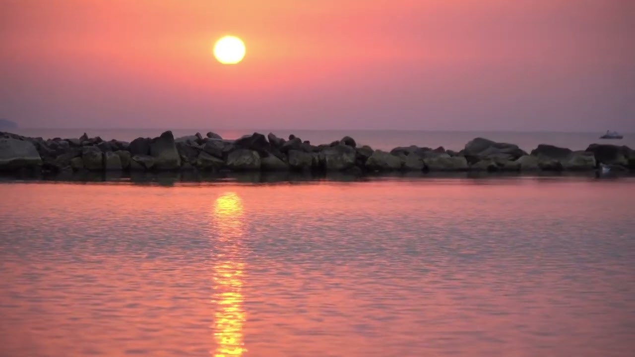 [FREE] OG Playboi Carti Type Beat - 