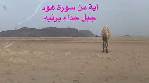 دحيم الحماد ١٤٤٤هـ آية من سورة هود. منظر من جبل حداء برنيه