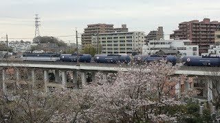 武蔵野線(南線)稲城付近を行く貨物列車《石油・コンテナ・配給》