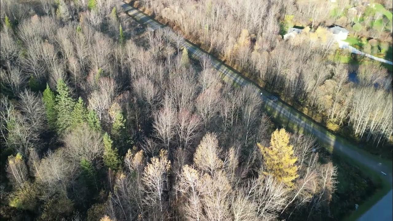 Terrain de 2 acres Chemin de la Diligence, Stukely Sud YouTube