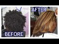 EXTREME NATURAL HAIR TRANSFORMATION | LOWLIGHTS, HIGHLIGHTS, TRILIGHTS, BASE COLOR ON TYPE 4 HAIR!