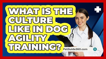 What Is The Culture Like In Dog Agility Training? - PetGuide360.com