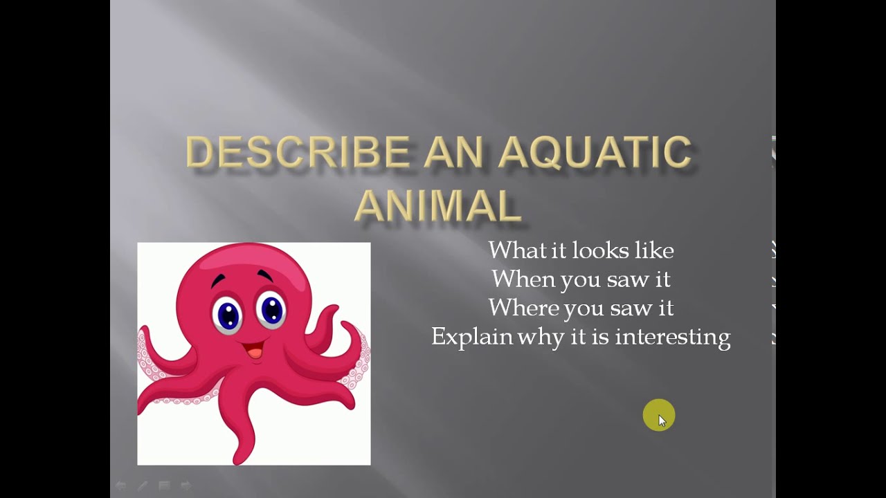 Describe an aquatic animal - YouTube