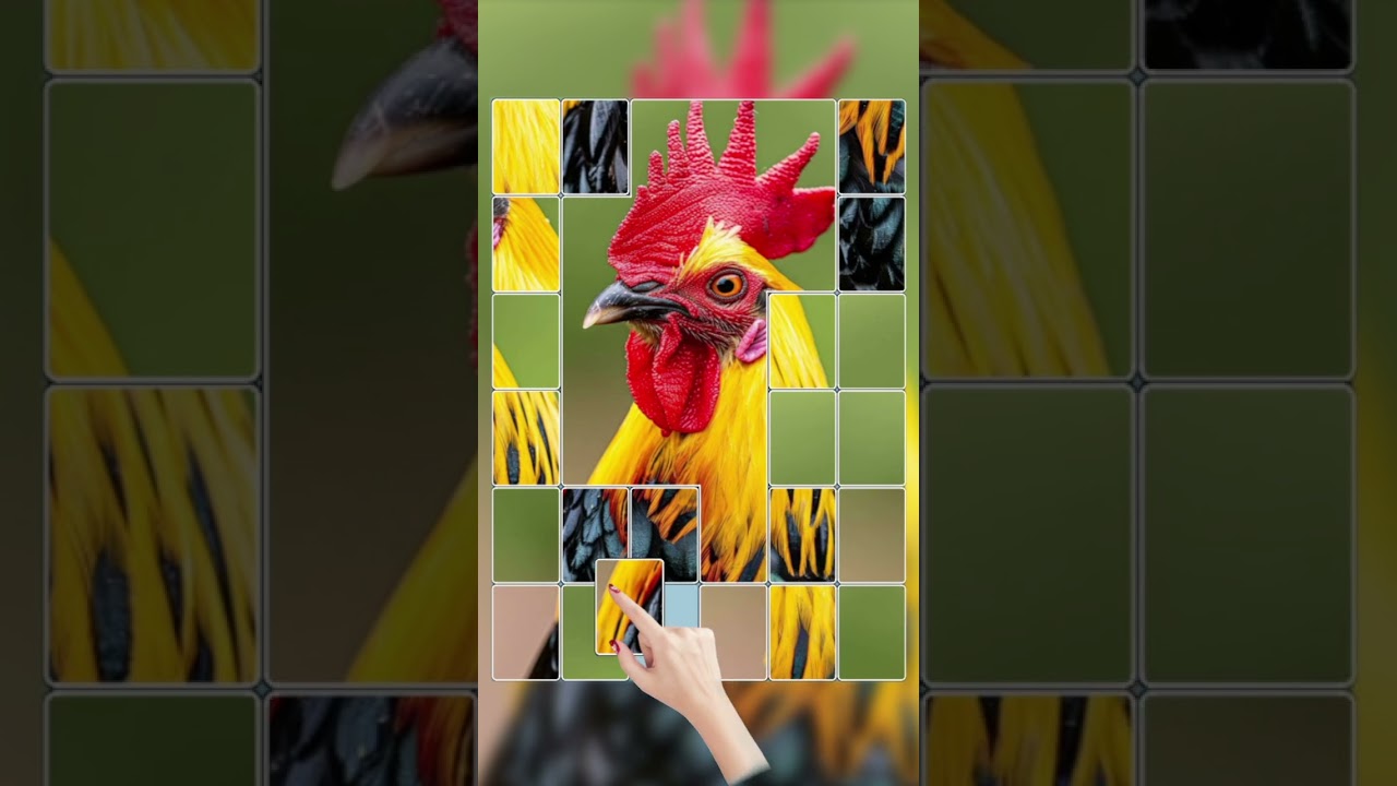 260113 Jigblock Puzzles 2  HP142 EN 720×1280