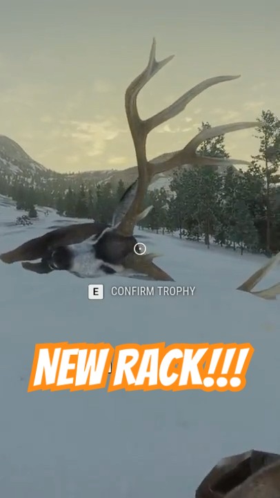 NEW Diamond Mule Deer Rack Looks Crazy! 💎🦌😱 #thehunter #cotw - YouTube