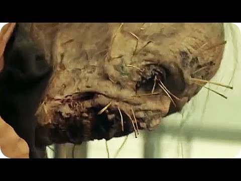 Fear The Walking Dead Season 4 Trailer (2018) amc Series