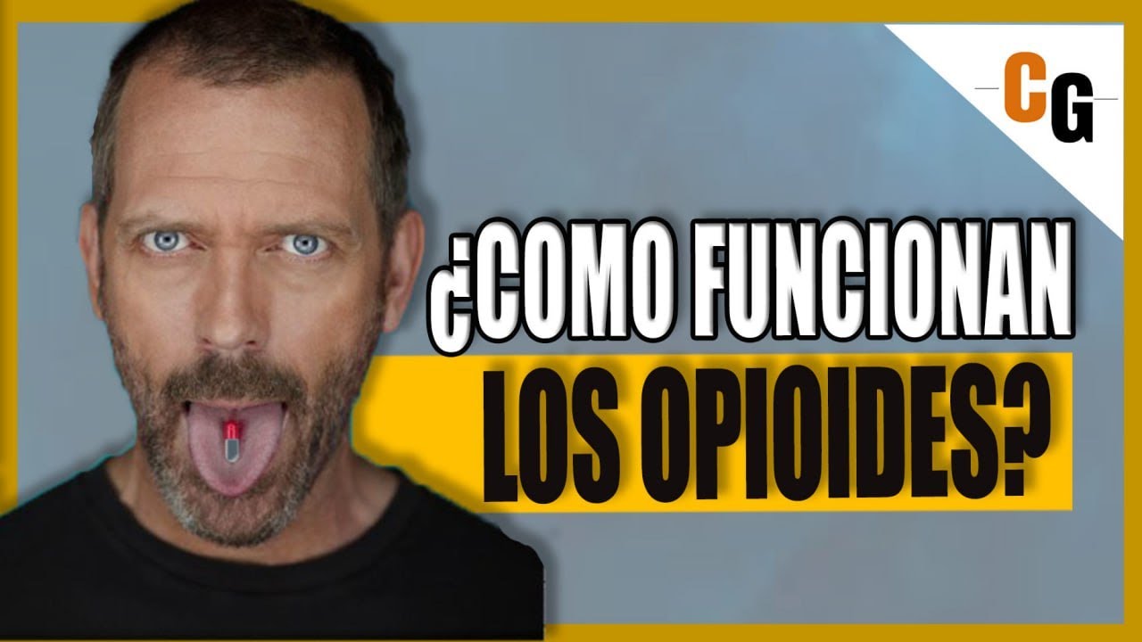 ¿Como funcionan los OPIOIDES? - Morfina, Fentanilo, Heroina y Otro Opioides EXPLICADOS -