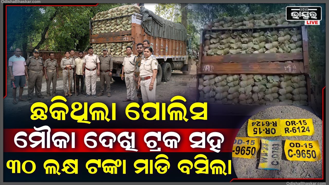 ଆଉ ଖସିପାରୁ ନାହାଁନ୍ତି କେହି, ଛକ ଛକରେ ଜଗି ବସୁଛି ପୋଲିସ ମୌକା ଦେଖି ବେଆଇନ ଚୋରା ଚାଲାଣକାରୀକୁ ଦେଉଛି ପାନେ