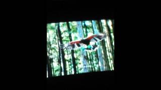 Moose Misses Man Friend 2014