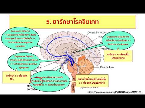 ยาที่ออกฤทธิ์ต่อระบบประสาทส่วนกลาง_ตอนที่ 6_ยารักษาโรคจิตเภท