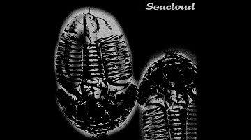 Seacloud - Fossilized (DINO SYNTH)