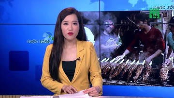 VTC14 | Nhộn nhịp phố cá lóc nướng lớn nhất TP HCM