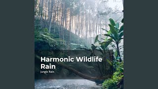 Download Lagu Silence in the Woods MP3