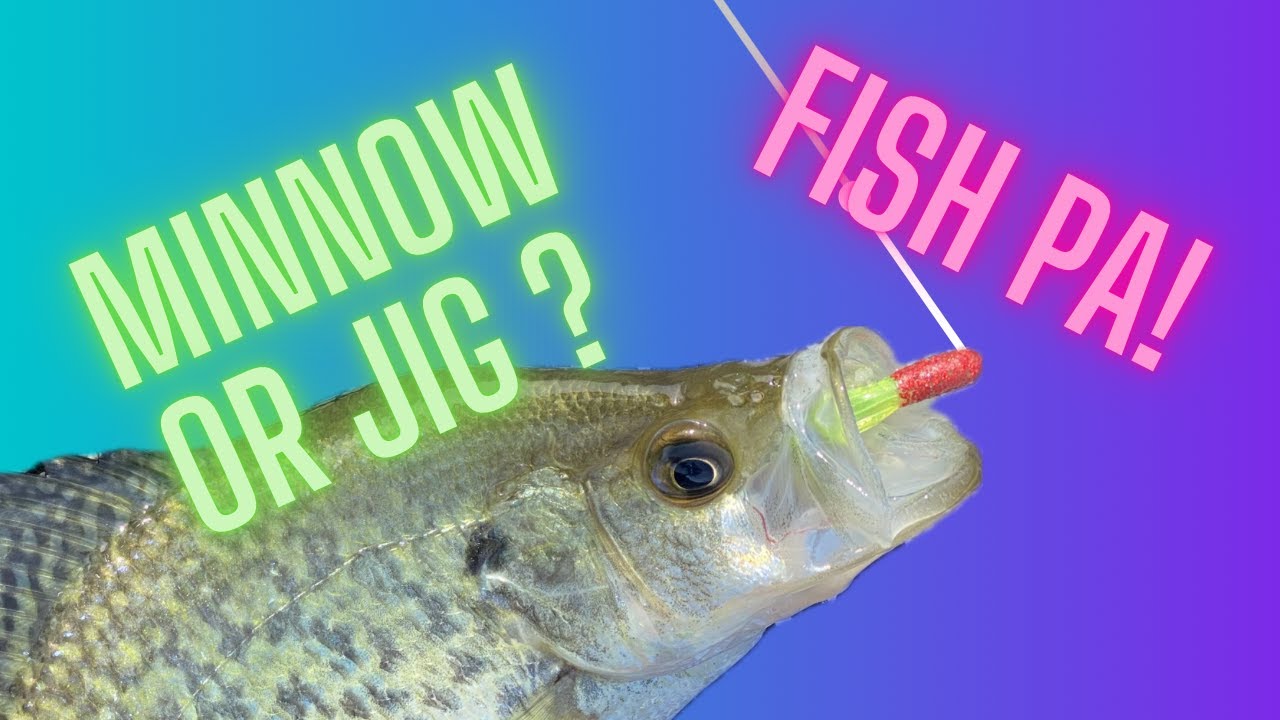 The Minnow or Jig? Catch more Crappies 