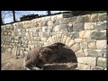 Removal of Dry Stone Arch Former