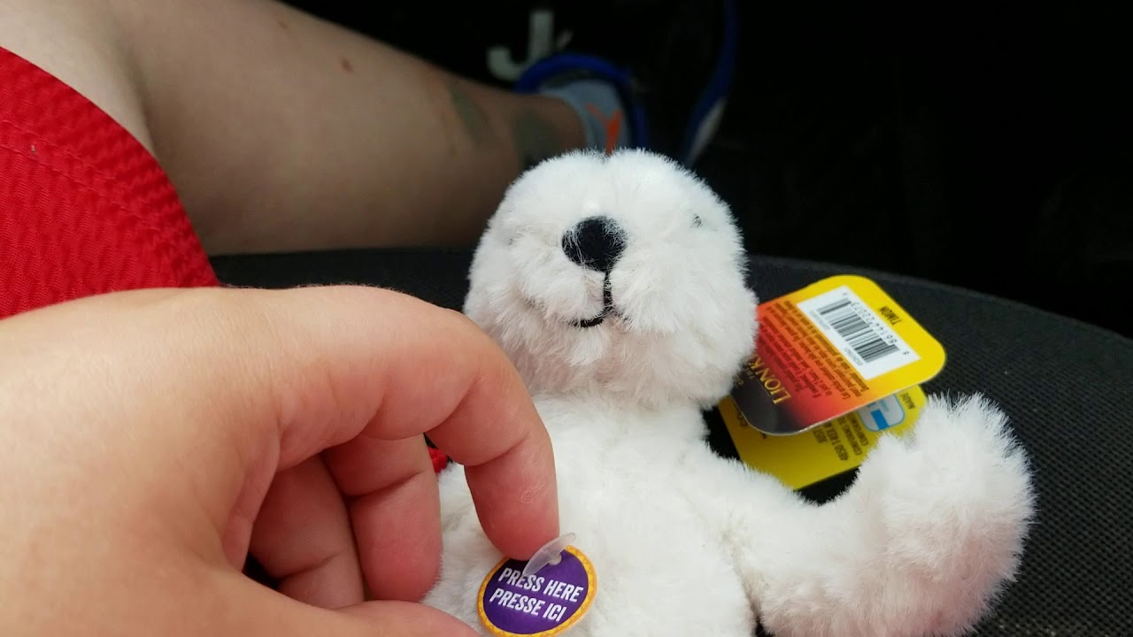 The Lion king 2019 talking    Plush  Talking Timon  review