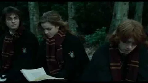Krum making eye contact with Hermione