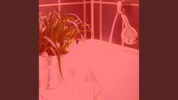 Wonderful Koto and Strings - Vibe for Steam Baths