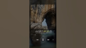 من هم السائلين في سورة يوسف..؟ #القرآن #المصحف #اكسبلور ..!!