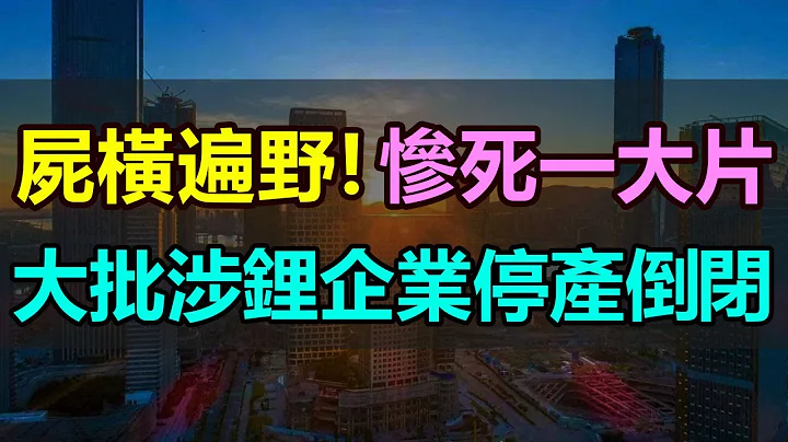 尸横遍野！大批锂电企业停工停产，倒闭！关停！亚洲锂都遭遇行业寒冬，惨死一大片！锂矿工厂集体停产“避风头”，涉锂企业一片哀嚎，中国锂资源之都陷入艰难困境 - 天天要闻