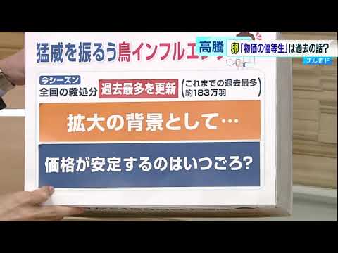 「物価の優等生」は過去の話？　卵の価格が高騰中