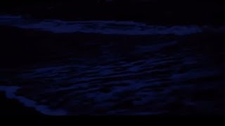 OCEAN WAVES | ASMR SLEEP SOUNDS by SASMR 21 views 3 weeks ago 1 hour