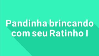 Pandinha Brincando Com Seu Ratinho I