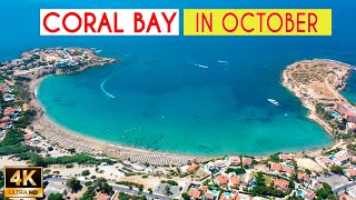 Coral Bay in October - Who Is Swimming in the Sea? PAPHOS, CYPRUS screenshot 5