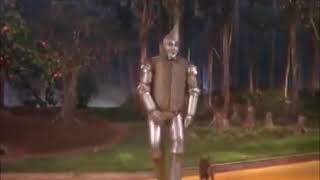 Tin Man Speed Up And Slow Down 1