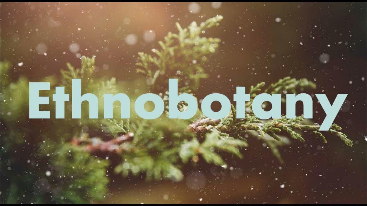 What is Ethnobotany? YouTube