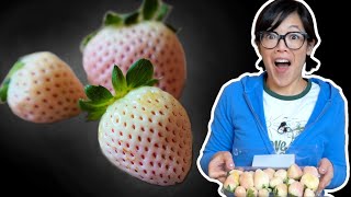 Pineberries | Fruity Fruits Taste Test