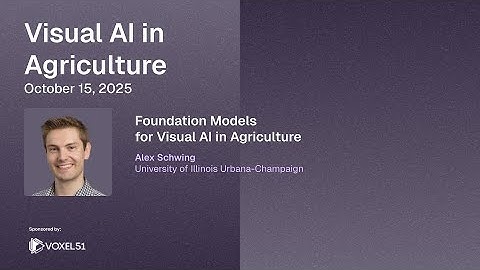 Foundation Models for Visual AI in Agriculture