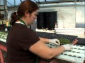 Hydroponics: A Profitable Business || How to earn money growing lettuce?