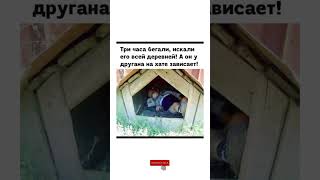 #дети #мем #юмор #смехпродлеваетжизнь #смешновидео #позитив #смешнойшортс