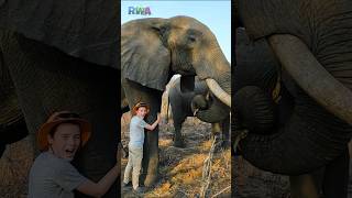 Boy hugs bull elephant 😱.. what could go wrong??