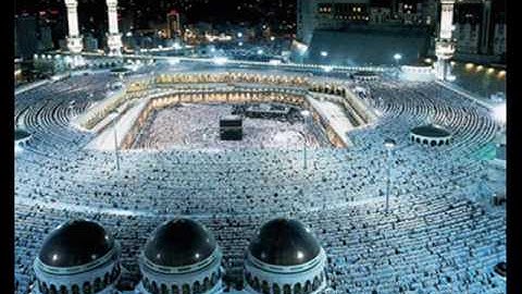 الشيخ محمد السبيل سورة فصلت