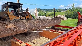 I Put This Massive Poplar Log on the Circle Sawmill