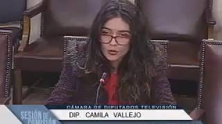 Camila Vallejo Solicita Información Sobre Proyecto Habitacional Antumapu