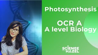 Photosynthesis | OCR A | A Level Biology | Science with Hazel