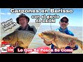 Carpas Gigantes y Bogas en Berisso - harinado para carpas - como cebar la zona de pesca