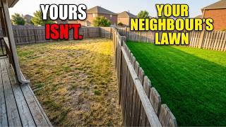 Your Neighbour's Lawn Is Dark Green  Yours Isn't  Here's the Ugly Truth