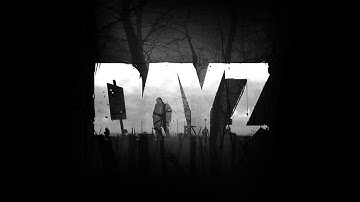 Как заменить ключ DayZ (Arma) за полторы минуты! Новый рабочий способ!