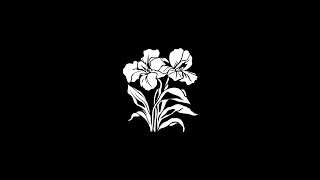 hi #eurovision Profile