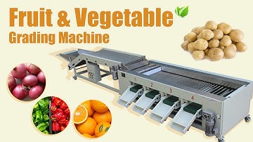 Automatic Vegetable & Fruit Grading Machine | 500kg/h Sorting Plant for Potato, Bell Pepper, Onion