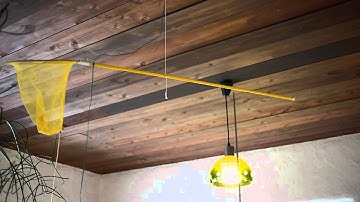 catch the wings of meteors