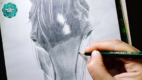 Horse drawing | Graphite Drawing