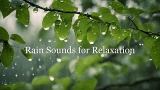 Ambient Sounds for Relaxation | Serene Rain Sounds and Melodic Music for Stress Relief